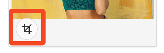 Manually cropping images in Sellvio